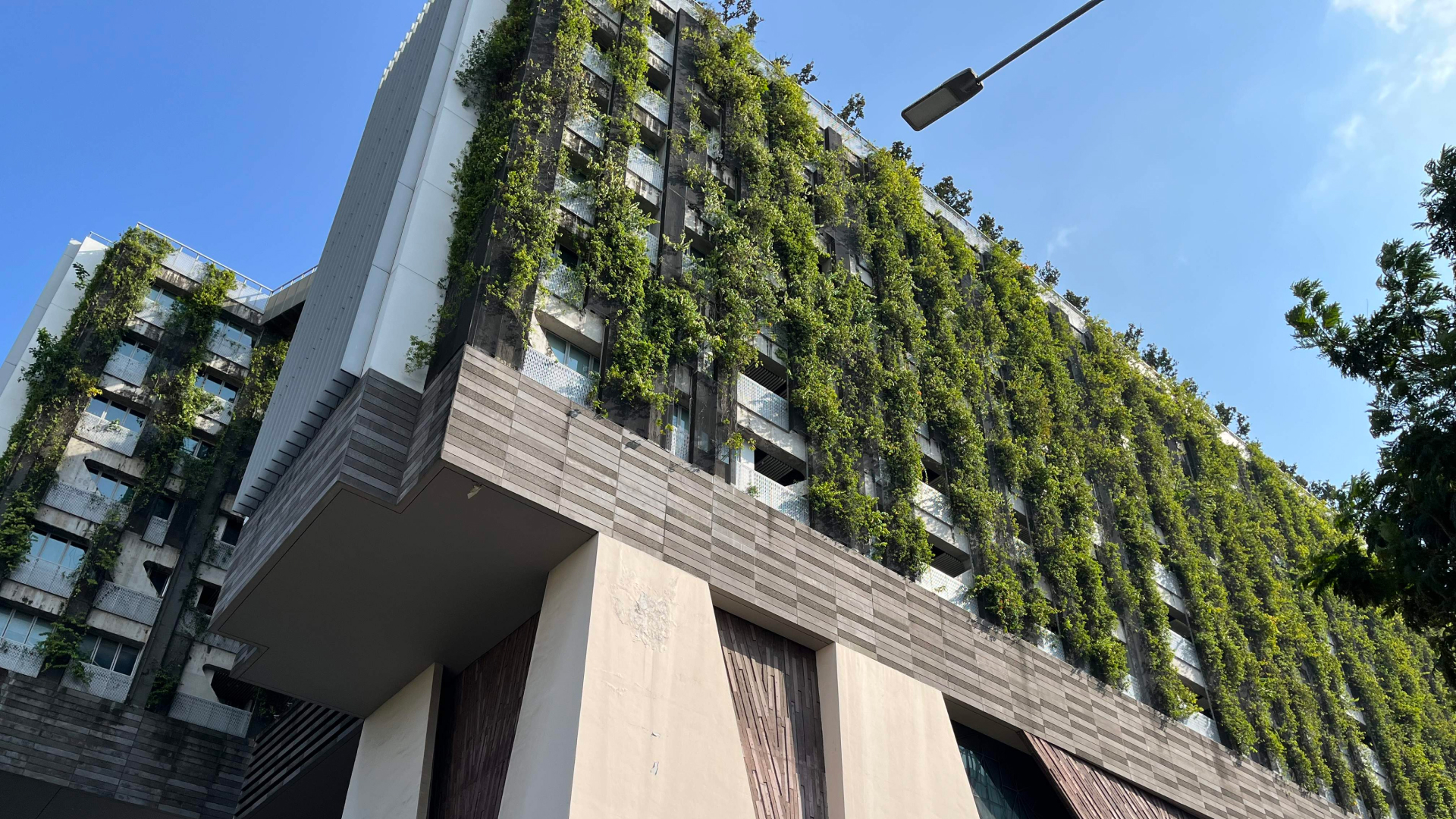 A building intentionally covered in green, Singapore